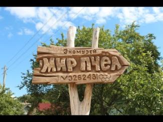 В ГОСТИ К ПЧЕЛОВОДУ НА УСАДЬБУ "МИР ПЧЁЛ"